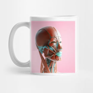 Facial muscles, illustration, (F035/6168) Mug